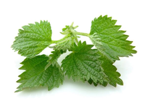 Predstonorm Nettle Leaf in Capsules