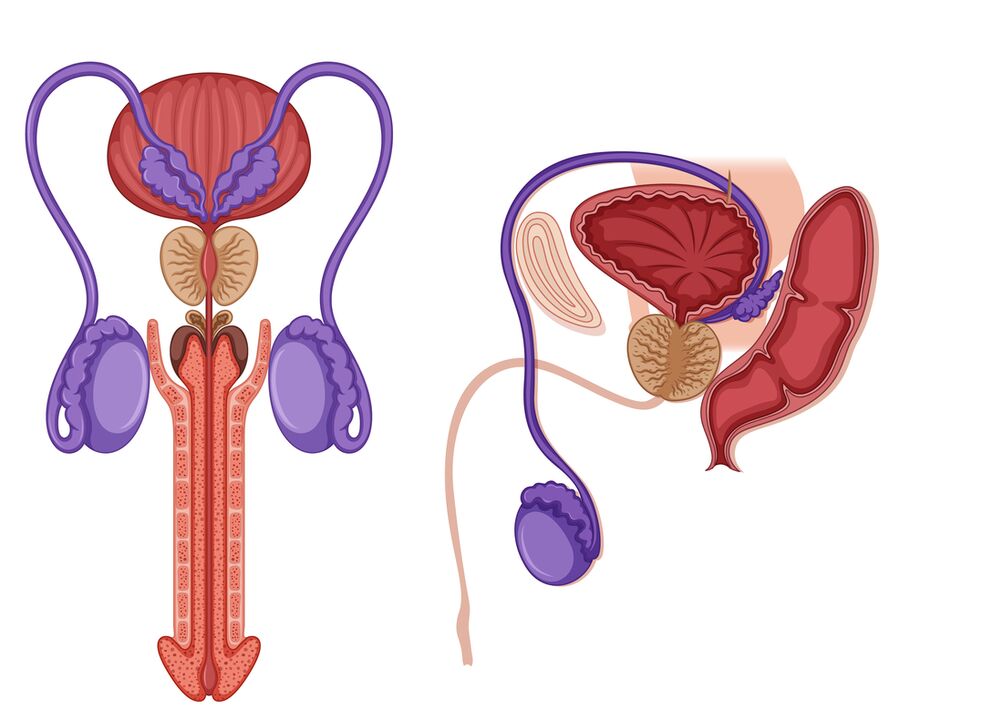 male prostatitis