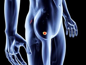 prostatitis inflammatory process of the prostate