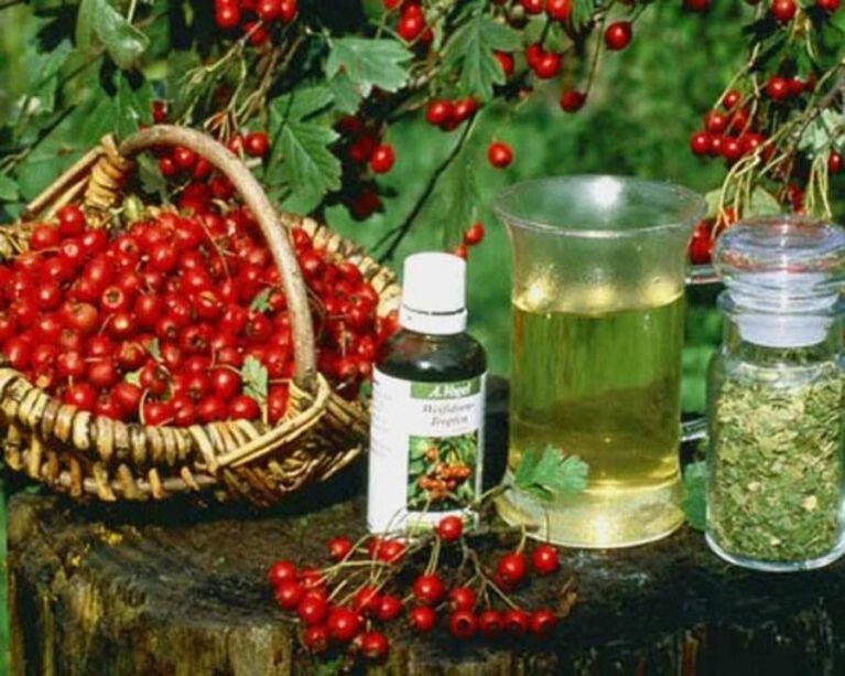 Folk remedies for prostatitis
